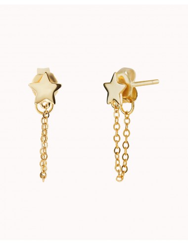 Boucles d'oreilles puces en...