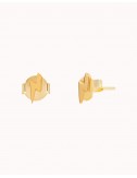 Mini stud earrings in the...