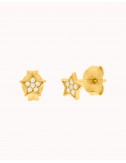 Star-shaped stud earrings...