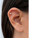 Pave CZ Star Shaped Stud Earrings